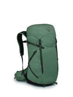 Туристичний рюкзак OSPREY SPORTLITE 30,  pine leaf green