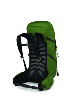 Туристичний рюкзак OSPREY TALON 33,  green belt/black