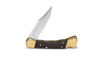 Кишеньковий мисливський ніж Buck Hunter з піхвами, 9,5 см, чорний
