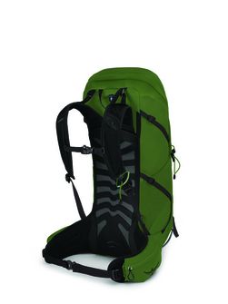 Туристичний рюкзак OSPREY TALON 36,  green belt/black