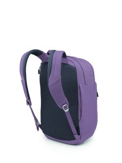 Міський рюкзак OSPREY ARCANE XL,  purple dusk heather