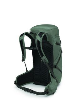 Туристичний рюкзак OSPREY SPORTLITE 30,  pine leaf green