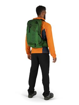 Туристичний рюкзак OSPREY TALON 22,  green belt/black