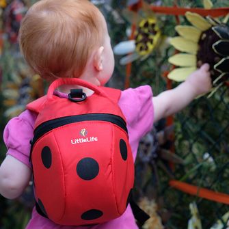 Дитячий рюкзак LittleLife з мотивом сонечка 2 л
