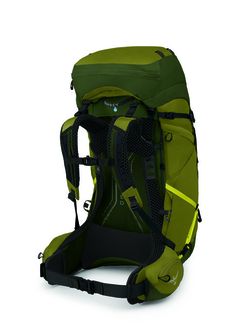 Туристичний рюкзак OSPREY ATMOS AG LT 65,  scenic valley/green peppercorn