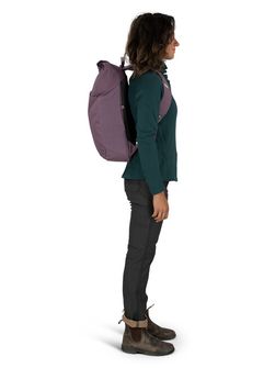 Міський рюкзак OSPREY ARCANE ROLL TOP PACK,  purple dusk heather