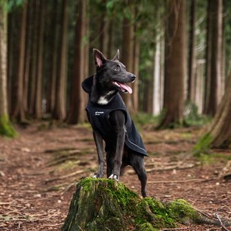 Накидка для собак Mountain Paws мала