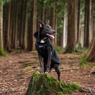 Накидка для собак Mountain Paws велика