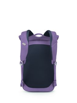 Міський рюкзак OSPREY ARCANE ROLL TOP PACK,  purple dusk heather