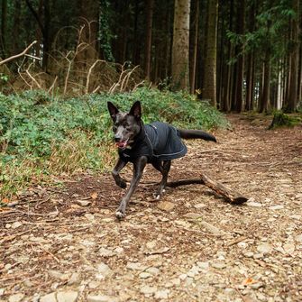 Накидка для собак Mountain Paws велика